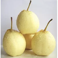 Buah Pear Sweet / Pir Manis / Buah Pir - 1 Kg