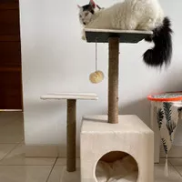 cat tree rumah kucing cat condo dan cat tower 25cm