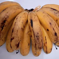 pisang barangan medan