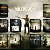 Walking Dead Season 1-10