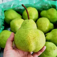 Pear Packam Pear Jambu Hijau Manis Lembut Pear Enak Murah Super