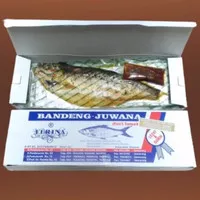 Ikan Bandeng Presto Juwana Duri Lunak Bandeng Juwana Erlina Semarang