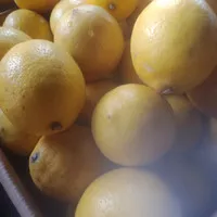lemon california lokal
