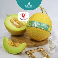 Melon Golden Augusta Hydroponic