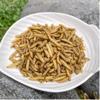 Rocky n Co|Dried Black Soldier Fly Larvae Dog Snack