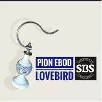 pion ebod lovebird