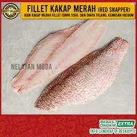 Kakap Merah Fillet 500 Gram / Red Snapper Fish / Kakap Fillet