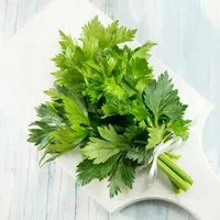 [TERMURAH] Daun Sop / Seledri Segar 250gr - 1kg