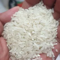 beras 50kg murah