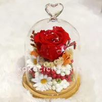 FLOWER DOME ROSE FLOWER RED PRESERVED MIX ARTIFICIAL FLOWER