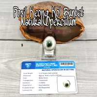 Cincin Natural Fosil Keong Kol-Buntet Shell Operculum