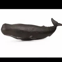 Mainan Boneka Remas Simulation Binatang Laut Ikan Paus Sperm Whale