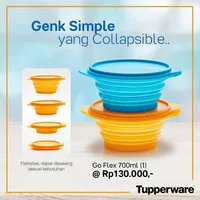 Go Flex Tupperware (1pc) kotak makan praktis