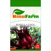 Benih Rosella Ungu 25Seeds