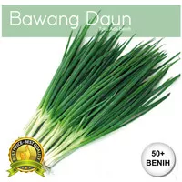 Benih / Biji Bawang Daun - Daun Bawang - 50+ Biji