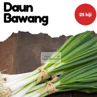 BENIH UNGGUL Benih/Bibit/Biji/Seed Daun Bawang | Daun Prey | Bunching