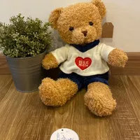 Boneka Beruang Teddy bear Kaos Love (boy)