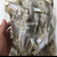 ikan asin samge