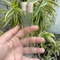 Tabung Reaksi Kaca 16*150 mm Tutup Kayu / 25 ml / Craft / Souvenir