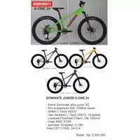 Sepeda Gunung 24 Inch Dominate A-One Kids Bike (2021)
