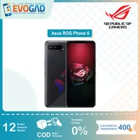 Asus ROG Phone 5, 6.78`` Inch Display, 6000 mAh Battery