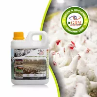 SUPLEMEN ORGANIK CAIR GDM VITAMIN SPESIALIS AYAM 1 LITER