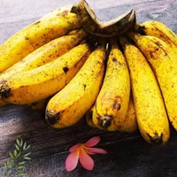 pisang barangan medan