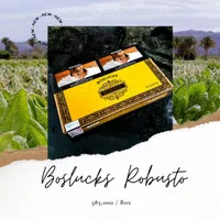 Boslucks Robusto Repackaging Series Cerutu Premium Box Murah Indonesia