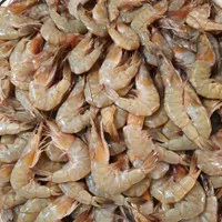 udang 1 kg