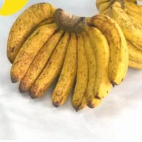 Pisang Barangan medan