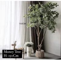 Money Tree // tanaman artifical