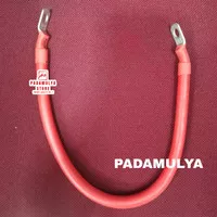 Kabel Seri Aki N100 N120 N150 N200 GS Yuasa Incoe Massiv 50ml 50cm