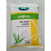 Benih jagung NK 7202 JUARA 1kg dari SYNGENTA