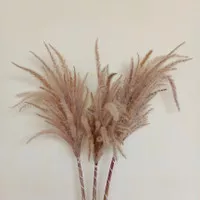 Alang-alang/Ilalang/Bunga Kering/Hiasan Meja