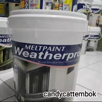 Cat Tembok Meltpaint Weatherproof 20 kg Original