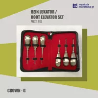 Dental Bein Luxator/Root Elevator Set - Crown-G