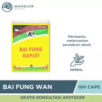 Bai Feng Wan (Pak Fung Pills) isi 1 - Obat Penyubur Kandungan