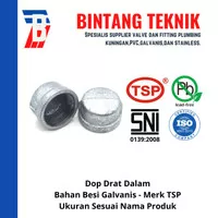 Dop 3/4 inch Besi Galvanis TSP