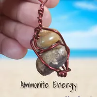 Fosil Ammonite Crystal Natural Energy