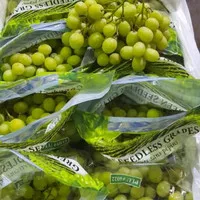 Buah anggur hijau seedless import fresh 1kg