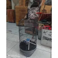 Sangkar Burung Pleci | Sangkar Burung Kenari | Sangkar Burung Lovebird