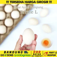 (BANDUNG) GROSIR TELUR AYAM KAMPUNG ARAB FRESH