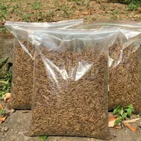 Maggot BSF Kering 50 kg Dry Maggot BSF Grade A Pakan Ikan Premium