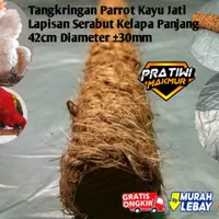 Tangkringan Parrot Tenggeran Tangkringan Nuri Sunconure