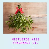 Mistletoe Kiss Fragrance Oil Soap Candle Wax Bath Bomb Diffuser Reed