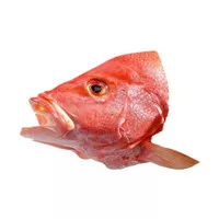 Kepala Ikan Kakap Merah Segar 1kg