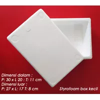 Styrofoam Box Kotak Sterofoam Box Ikan Cooler Box Kecil