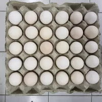 Telur Ayam Kampung ARAB Omega 3 (Kecil) / Butir
