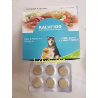 KALVIDOG MULTIVITAMIN 1 strip isi 6 butir-kalvidog Vitamin Bulu Anjing