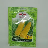 Bibit/benih jagung manis bonanza F1 200 btr